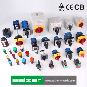 Salzer
